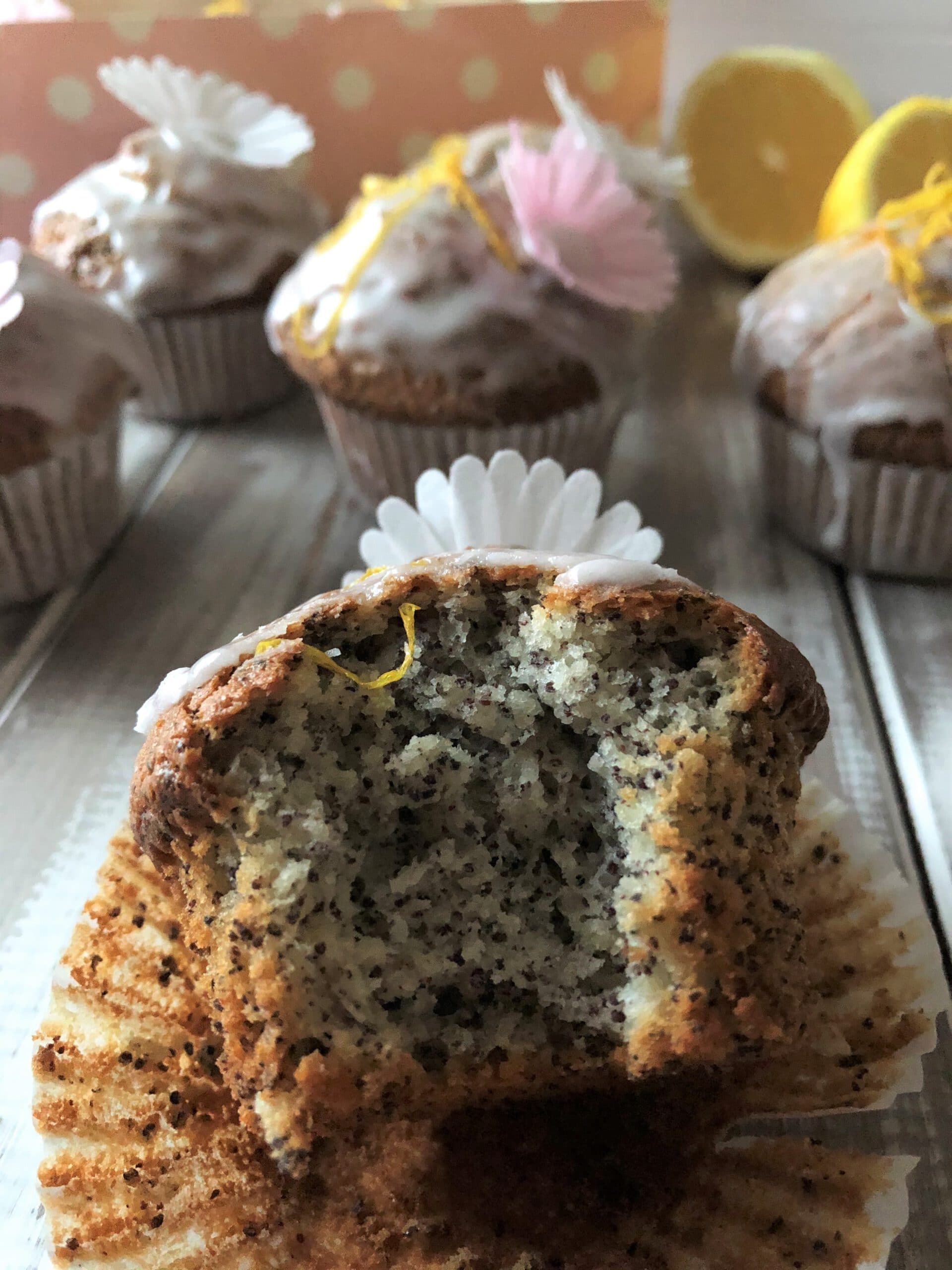 Sarahs Zitronen Mohn Muffins - Sparflämmchen Kuchen