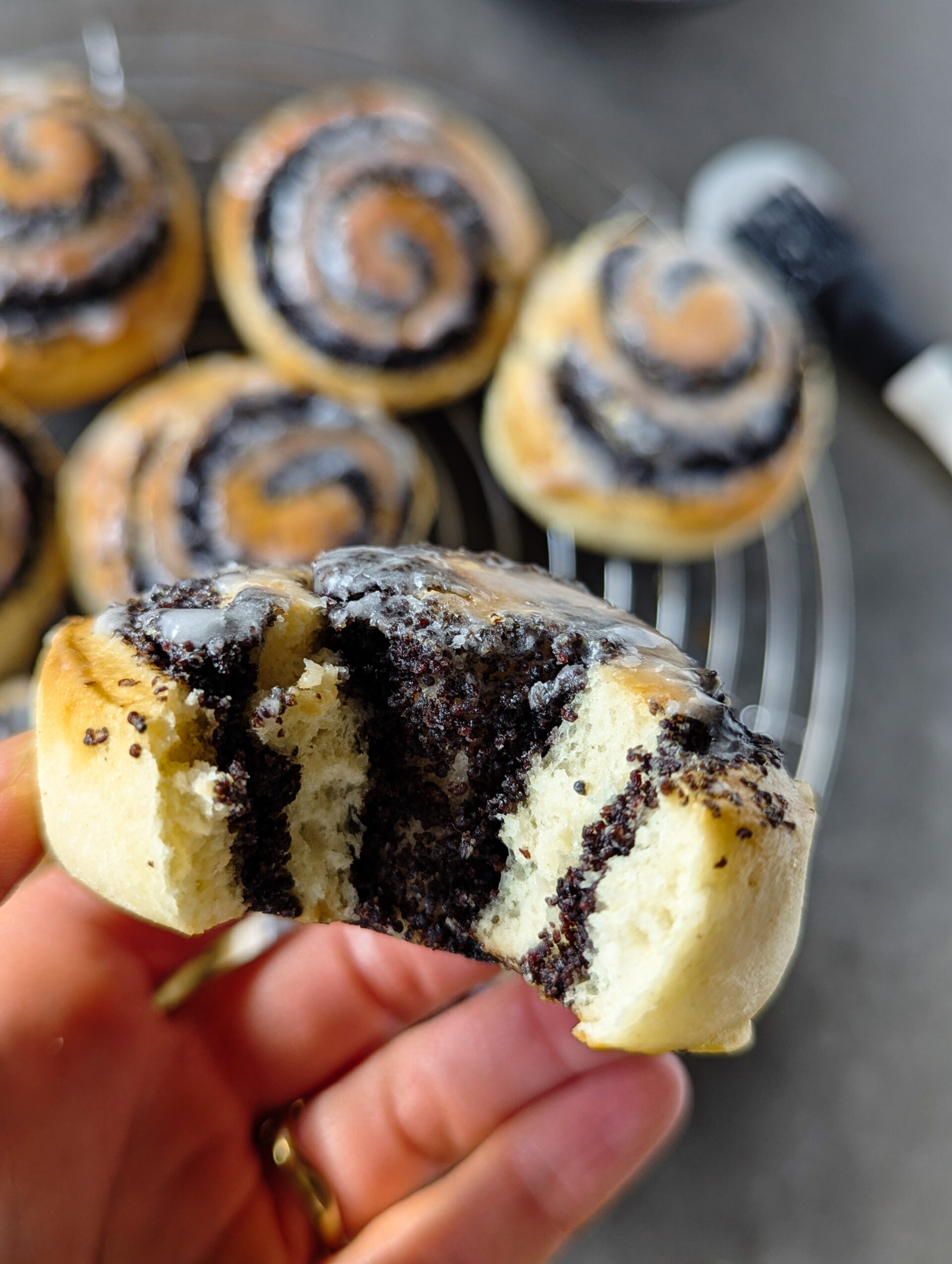 Mohnschnecken - Sparflämmchen