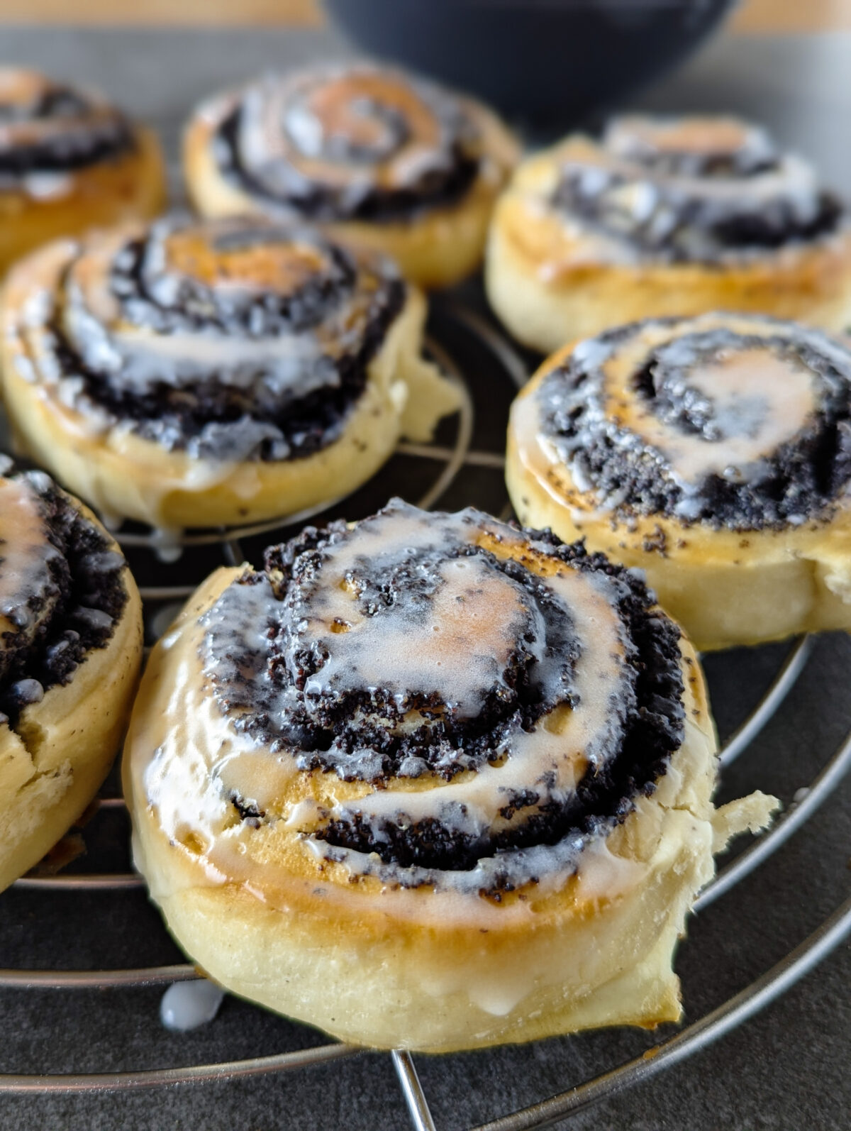 Mohnschnecken - Sparflämmchen