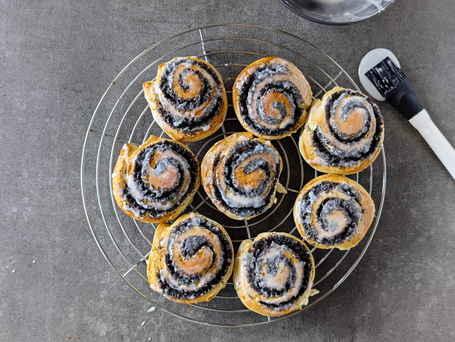 Mohnschnecken - Sparflämmchen
